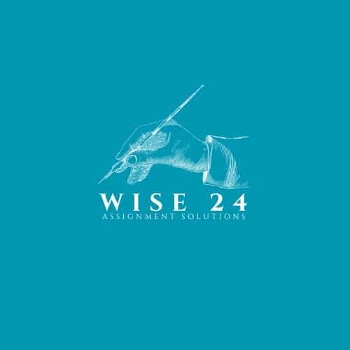 Wise 24 Assignment Solutions logo